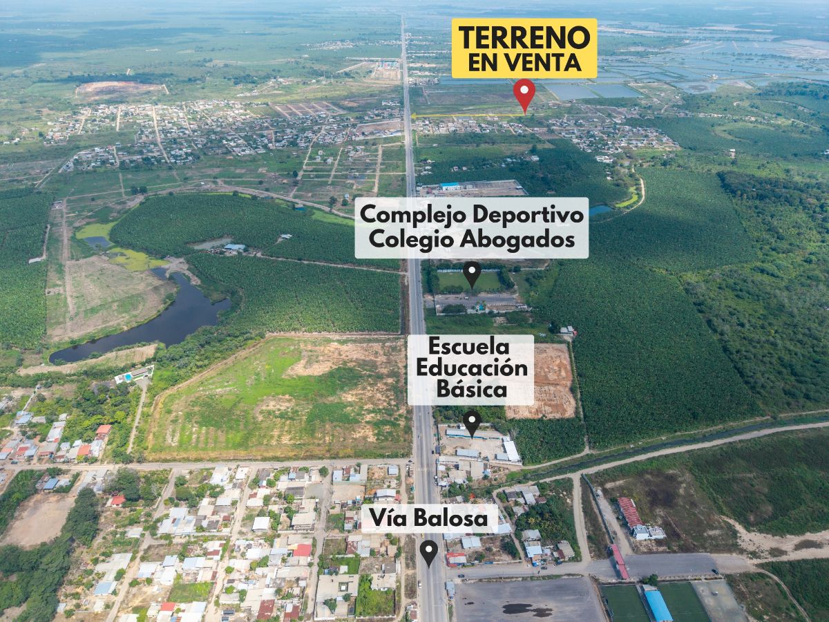 Imagen 5