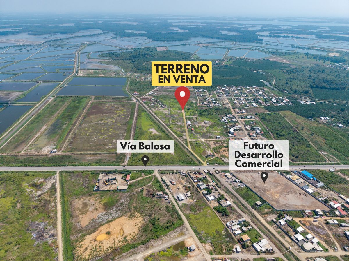 Imagen 7