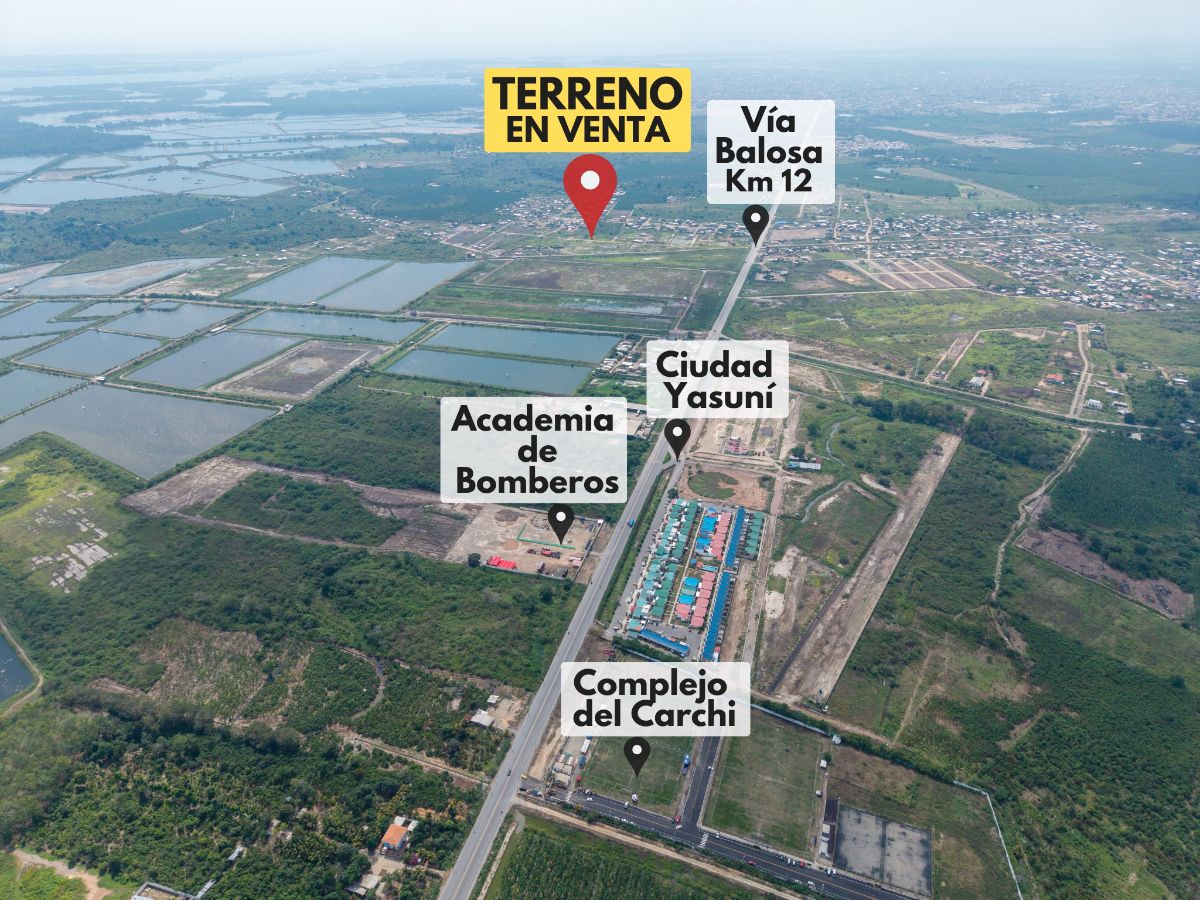 Imagen 9