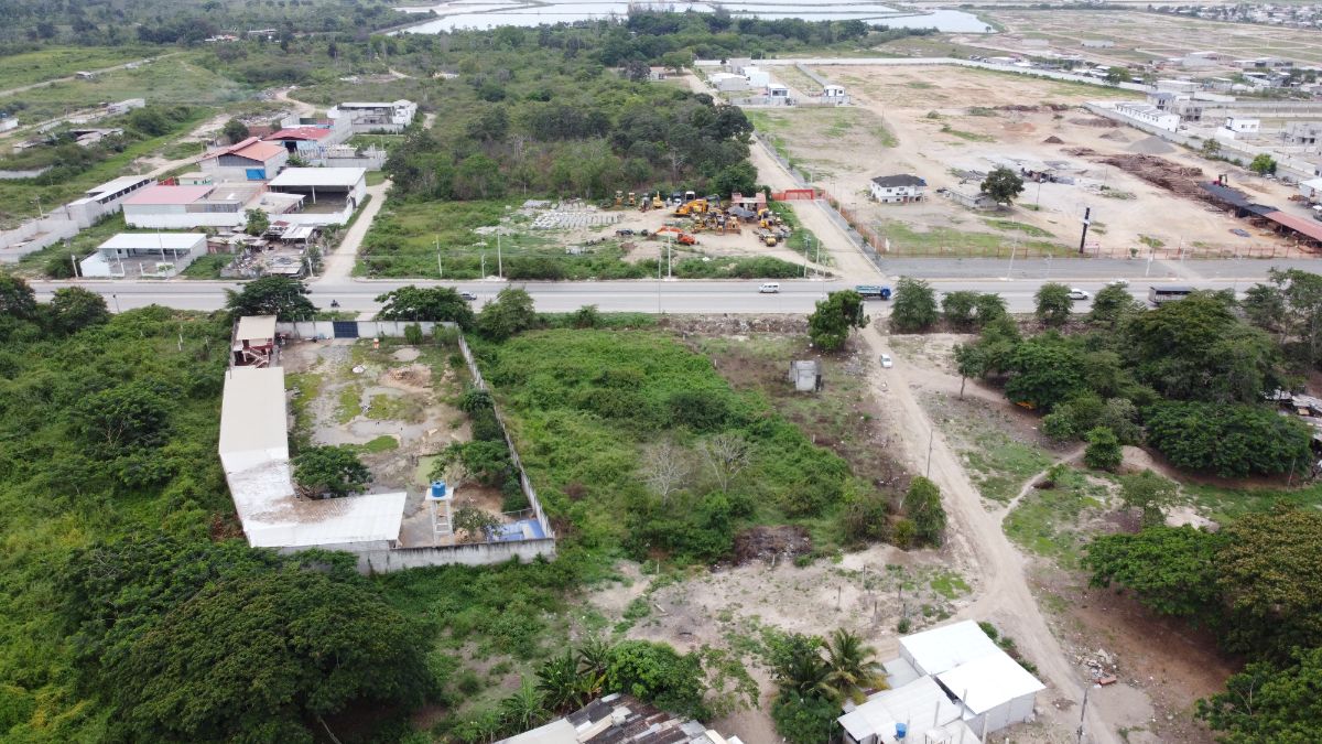 Imagen 5